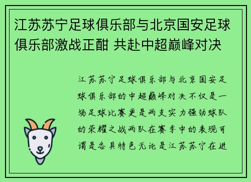 江苏苏宁足球俱乐部与北京国安足球俱乐部激战正酣 共赴中超巅峰对决