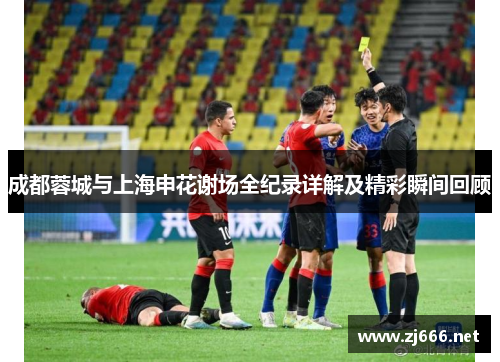 成都蓉城与上海申花谢场全纪录详解及精彩瞬间回顾