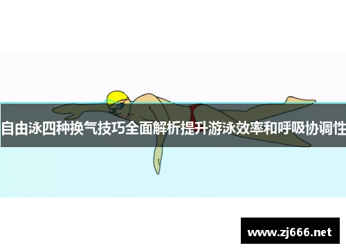 自由泳四种换气技巧全面解析提升游泳效率和呼吸协调性