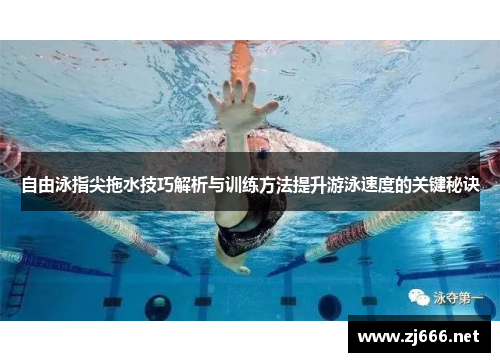 自由泳指尖拖水技巧解析与训练方法提升游泳速度的关键秘诀
