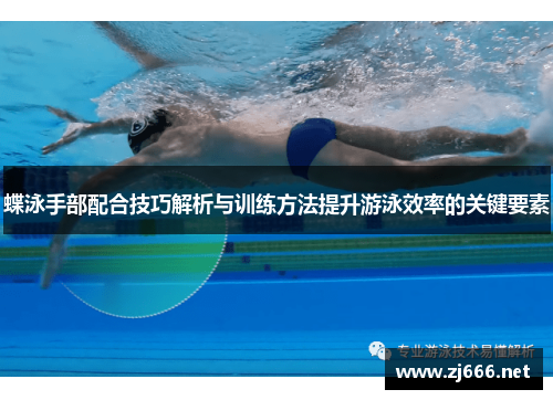 蝶泳手部配合技巧解析与训练方法提升游泳效率的关键要素