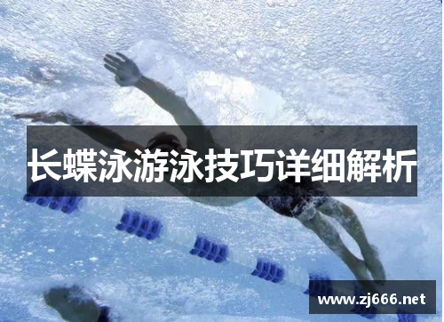 长蝶泳游泳技巧详细解析
