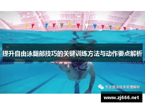 提升自由泳腿部技巧的关键训练方法与动作要点解析